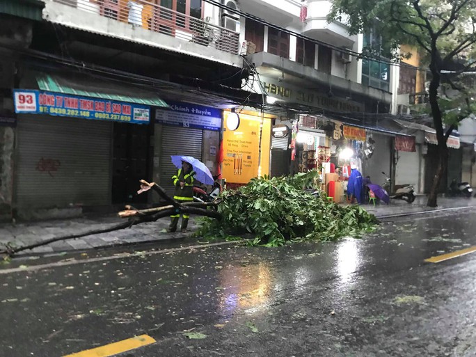 Hà Nội: Mưa rất to, cây cối đổ la liệt do ảnh hưởng bão số 3 - Ảnh 5. Hà Nội: Mưa rất to, cây cối đổ la liệt do ảnh hưởng bão số 3 - Ảnh 5.