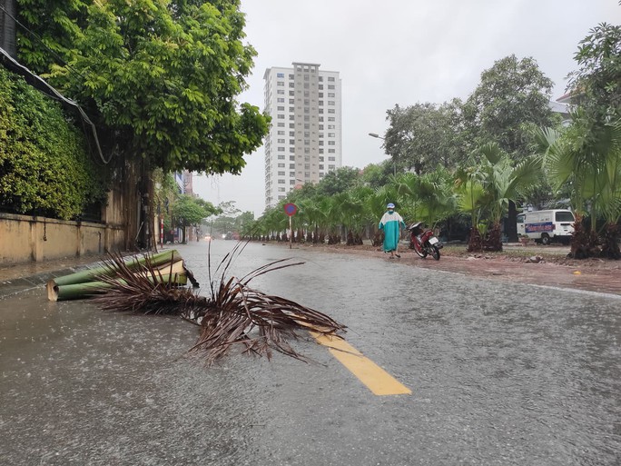 Hà Nội: Mưa rất to, cây cối đổ la liệt do ảnh hưởng bão số 3 - Ảnh 8. Hà Nội: Mưa rất to, cây cối đổ la liệt do ảnh hưởng bão số 3 - Ảnh 8.