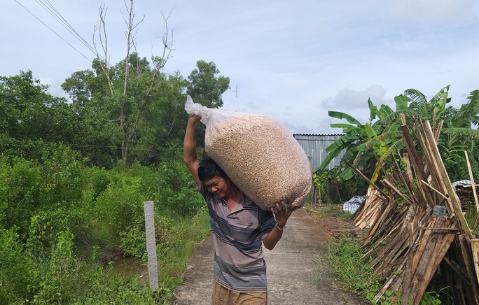 Bí quyết làm nên những hạt cốm thơm, giòn ở Cà Mau - Ảnh 9. Bí quyết làm nên những hạt cốm thơm, giòn ở Cà Mau - Ảnh 9.