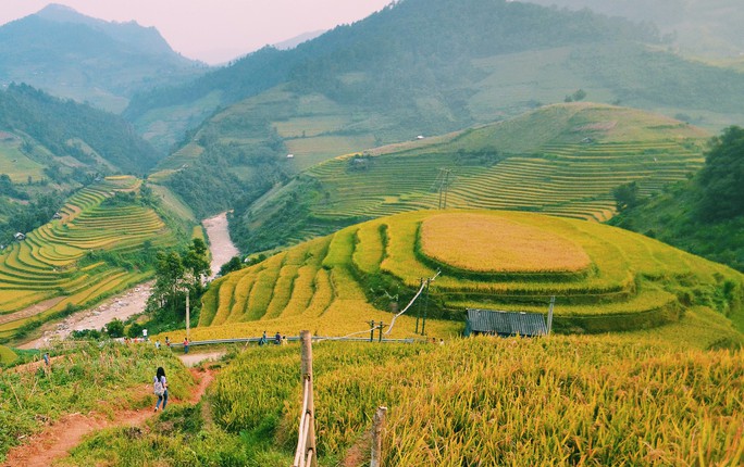 Lịch lúa chín Tây Bắc, Đông Bắc, lên kế hoạch săn ảnh ngay thôi! - Ảnh 8. Lịch lúa chín Tây Bắc, Đông Bắc, lên kế hoạch săn ảnh ngay thôi! - Ảnh 8.