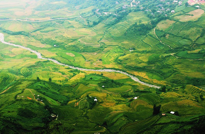 Lịch lúa chín Tây Bắc, Đông Bắc, lên kế hoạch săn ảnh ngay thôi! - Ảnh 3. Lịch lúa chín Tây Bắc, Đông Bắc, lên kế hoạch săn ảnh ngay thôi! - Ảnh 3.