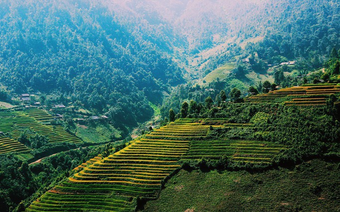 Lịch lúa chín Tây Bắc, Đông Bắc, lên kế hoạch săn ảnh ngay thôi! - Ảnh 16. Lịch lúa chín Tây Bắc, Đông Bắc, lên kế hoạch săn ảnh ngay thôi! - Ảnh 16.