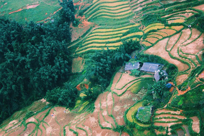 Lịch lúa chín Tây Bắc, Đông Bắc, lên kế hoạch săn ảnh ngay thôi! - Ảnh 14. Lịch lúa chín Tây Bắc, Đông Bắc, lên kế hoạch săn ảnh ngay thôi! - Ảnh 14.
