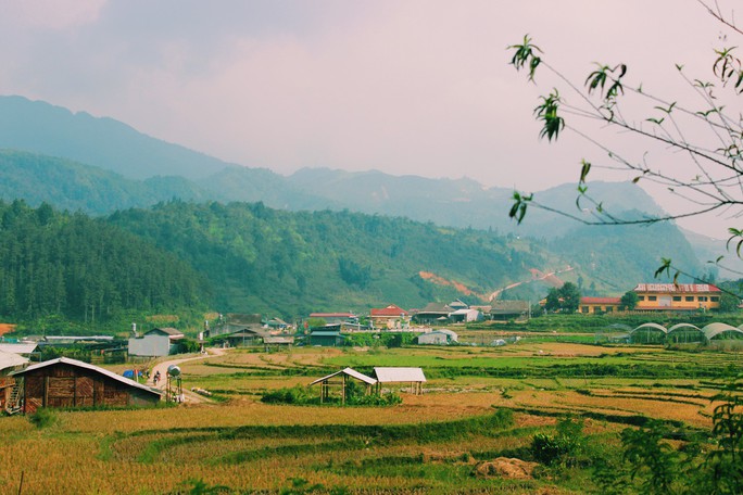 Lịch lúa chín Tây Bắc, Đông Bắc, lên kế hoạch săn ảnh ngay thôi! - Ảnh 5. Lịch lúa chín Tây Bắc, Đông Bắc, lên kế hoạch săn ảnh ngay thôi! - Ảnh 5.