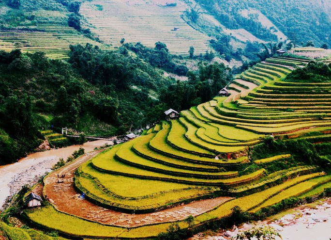 Lịch lúa chín Tây Bắc, Đông Bắc, lên kế hoạch săn ảnh ngay thôi! - Ảnh 7. Lịch lúa chín Tây Bắc, Đông Bắc, lên kế hoạch săn ảnh ngay thôi! - Ảnh 7.
