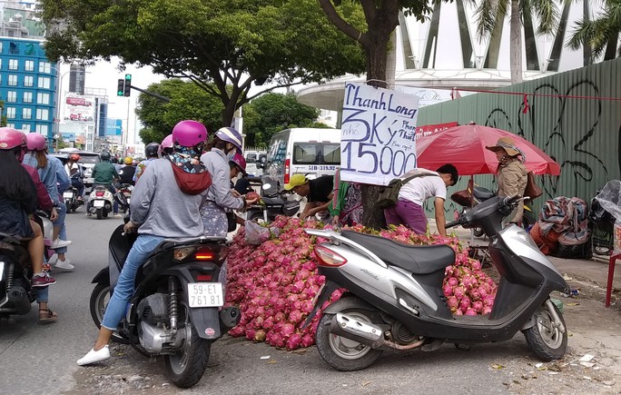 Thanh long, dưa hấu rớt giá còn 6.000 đồng/kg vì thị trường Trung Quốc bấp bênh - Ảnh 1.