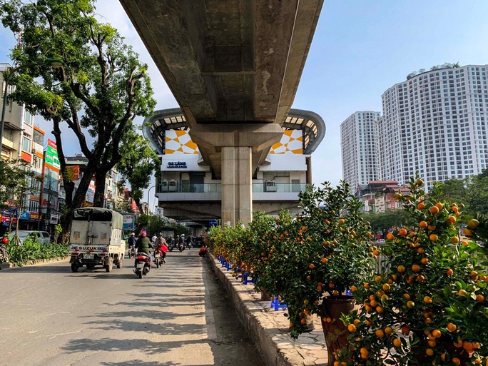Cận cảnh nhà ga đường sắt Cát Linh - Hà Đông thành chợ cây cảnh - Ảnh 6.