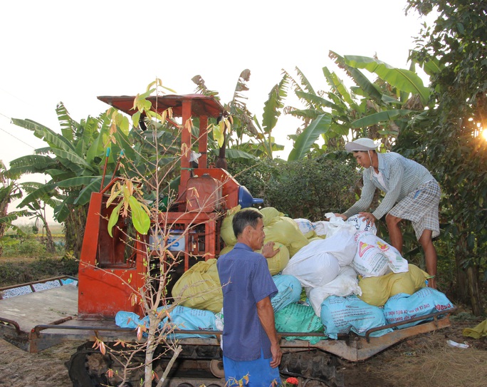 Thủ phủ dưa hấu An Tiêm hối hả đón Tết - Ảnh 10.