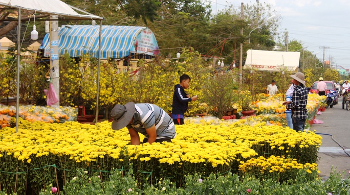 Xin hãy mua hoa, đừng chờ đến trưa 30 Tết! - Ảnh 6.