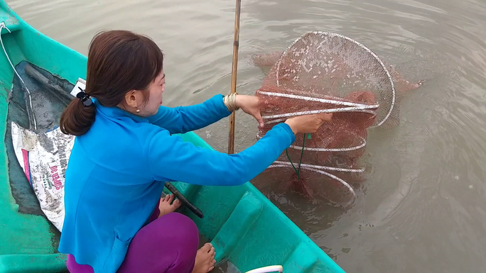 CLIP: Về Cà Mau xem nông dân bắt cá kèo ăn Tết - Ảnh 5.