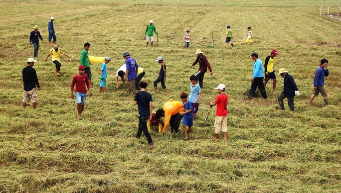 Về miền Tây xem cảnh già, trẻ hò reo săn chuột đồng mùa Tết Về miền Tây xem cảnh già, trẻ hò reo săn chuột đồng mùa Tết - Ảnh 1.