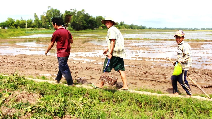 Về miền Tây xem cảnh già, trẻ hò reo săn chuột đồng mùa Tết Về miền Tây xem cảnh già, trẻ hò reo săn chuột đồng mùa Tết - Ảnh 4.