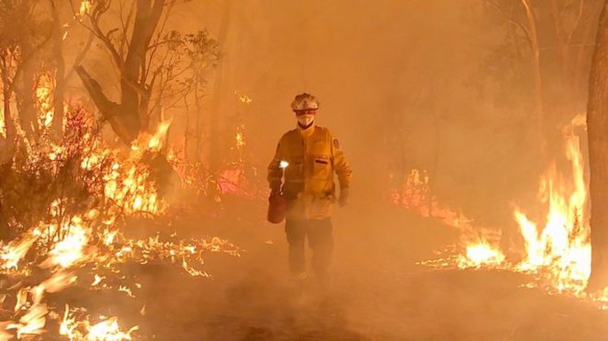 Cháy rừng ở Úc: Tình người trong thảm họa - Ảnh 1.