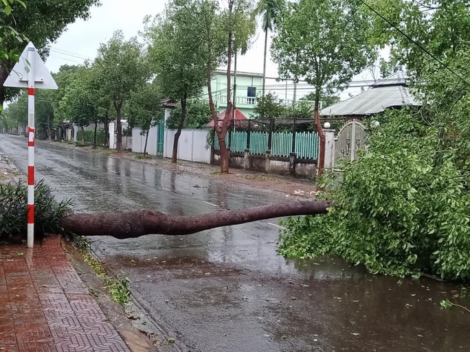 Gia Lai: 4 huyện mất điện, 1 người bị tường đè chấn thương sọ não - Ảnh 1.