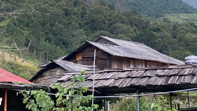 Xuống tay sát hại bố đẻ rồi trốn vào rừng ăn lá ngón tự sát - Ảnh 1.
