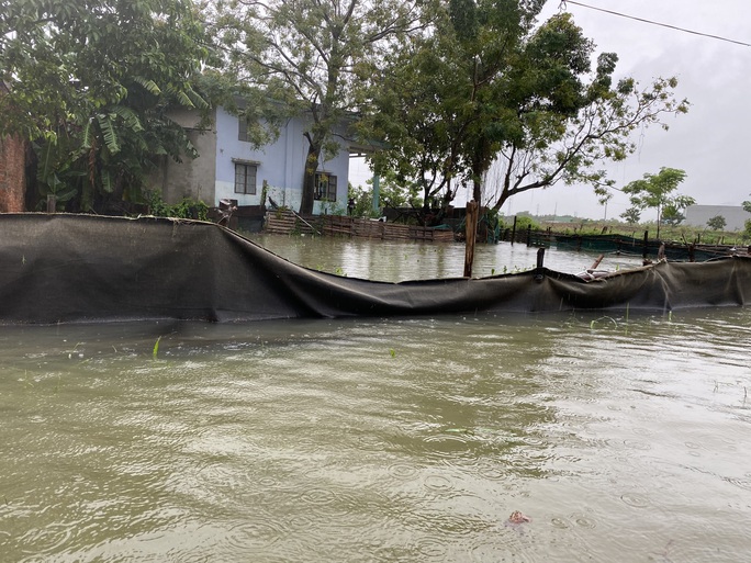 Da Nang: Houses very flooded, many people use boats - Photo 9.