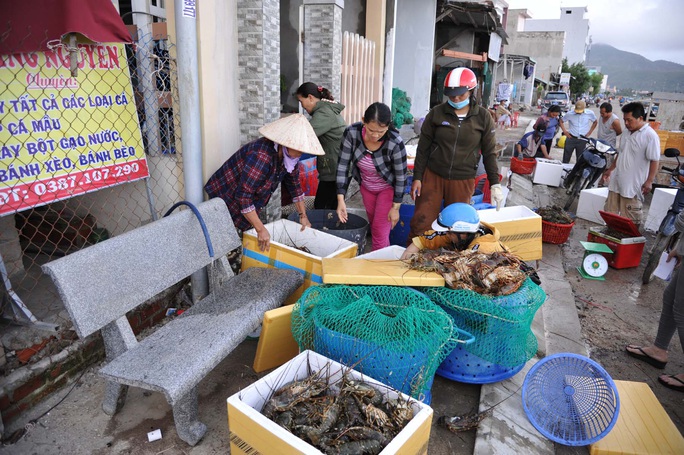 Crushed at the scene of the mass death of lobsters in Phu Yen - Photo 3.