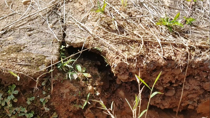 Close-up of an unusual subsidence that threatens Lake Tuyen Lam - Photo 3.