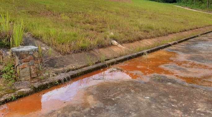 Close-up of an unusual subsidence that threatens Lake Tuyen Lam - Photo 2.