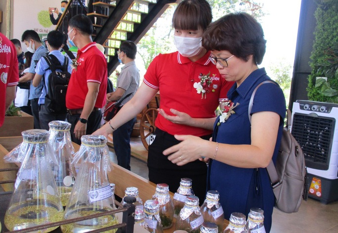 Nhà thu mua cà phê lớn nhất Việt Nam mở khu trải nghiệm cà phê ở Tây Nguyên - Ảnh 1.