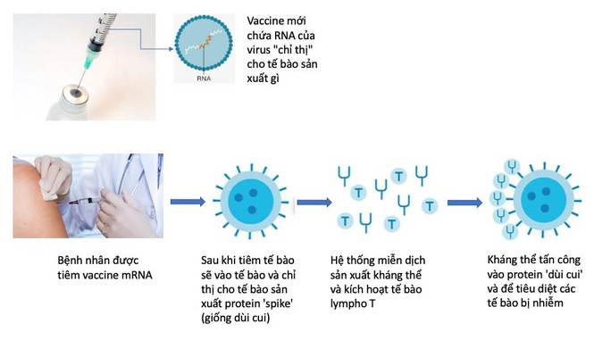 Cơ chế vận hành và hiệu quả ra sao? - Ảnh 1. Cơ chế vận hành và hiệu quả ra sao? - Ảnh 1.