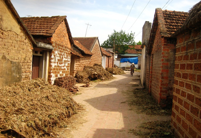 Về miền đá ong - Ảnh 1. Về miền đá ong - Ảnh 1.