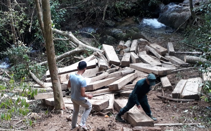 phá rừng Kontum phá rừng Kontum