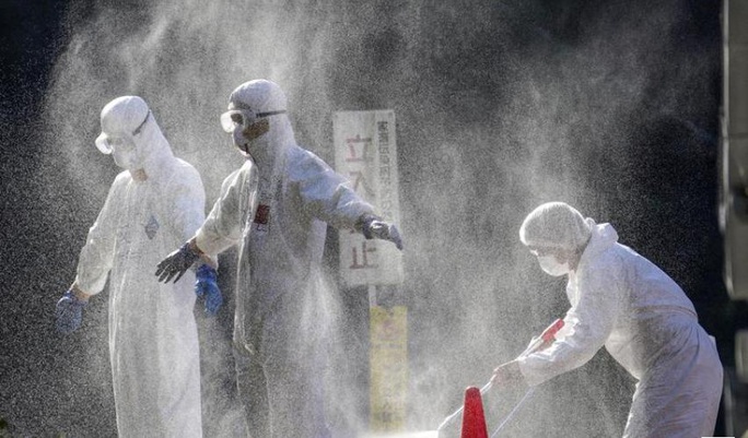 Cúm gia cầm độc lực cao lây lan sang tỉnh thứ 10 của Nhật Bản - Ảnh 1.