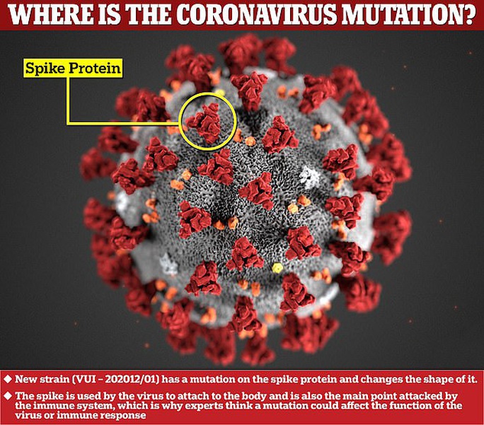 Biến thể mới của virus corona đang lây lan quá nhanh - Ảnh 1.