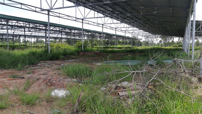Yêu cầu nhiều trường học chấm dứt cho thuê làm điện mặt trời - Ảnh 2. Yêu cầu nhiều trường học chấm dứt cho thuê làm điện mặt trời - Ảnh 2.