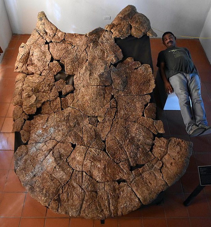 Choáng váng thủy quái bọc thép 10 triệu tuổi xuất hiện giữa sa mạc - Ảnh 1.