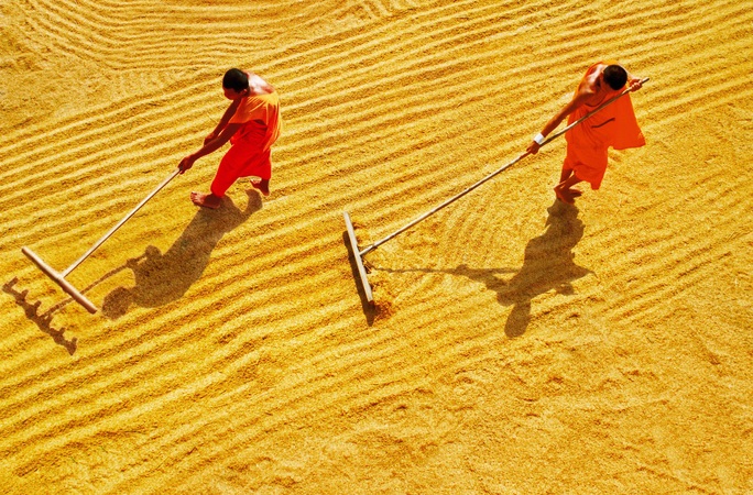 Cuộc thi ảnh Nét đẹp lao động: Hành trình cây lúa Miền Tây - Ảnh 5.