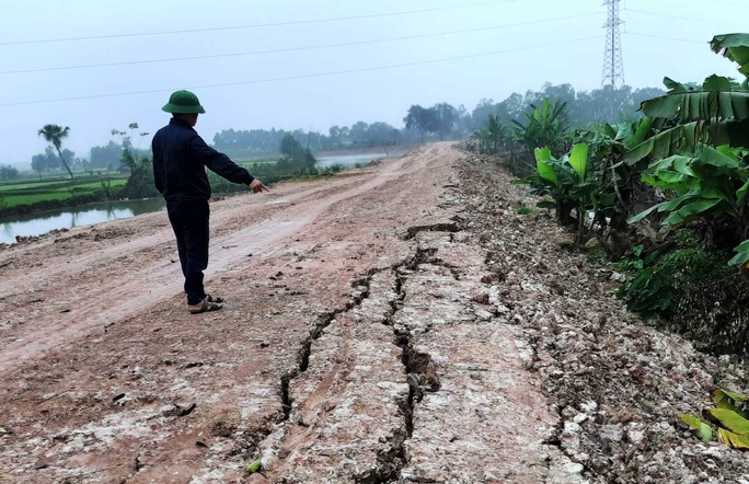 Dự án rùa gây nhiều hệ lụy - Ảnh 1. Dự án rùa gây nhiều hệ lụy - Ảnh 1.