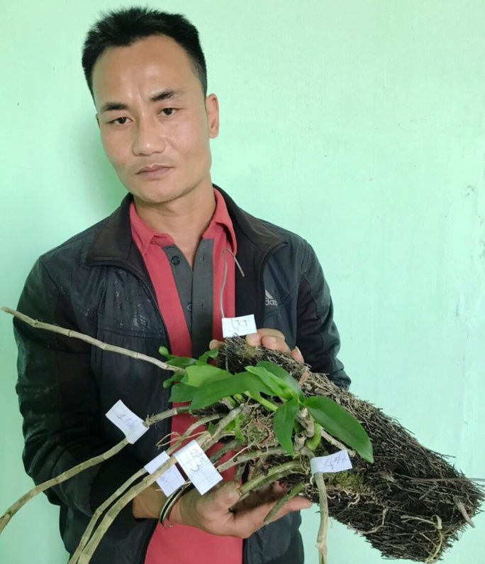 Bắt nhóm đối tượng trộm vườn lan đột biến tiền tỉ khiến ông chủ nhập viện cấp cứu - Ảnh 1. Bắt nhóm đối tượng trộm vườn lan đột biến tiền tỉ khiến ông chủ nhập viện cấp cứu - Ảnh 1.
