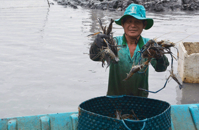 Phá thế độc canh cây lúa - Ảnh 1. Phá thế độc canh cây lúa - Ảnh 1.
