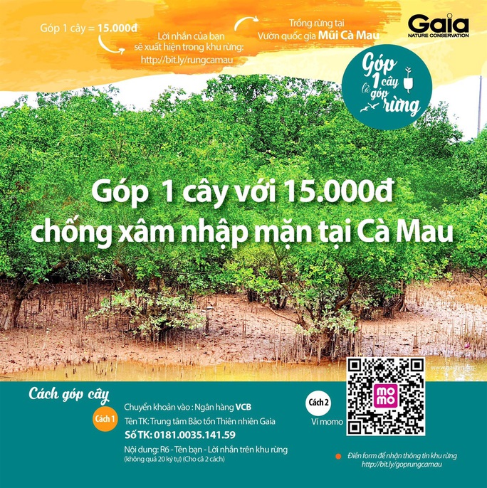 Chủ tịch Cà Mau chỉ đạo làm rõ việc vận động trồng rừng chống xâm nhập mặn - Ảnh 1. Chủ tịch Cà Mau chỉ đạo làm rõ việc vận động trồng rừng chống xâm nhập mặn - Ảnh 1.