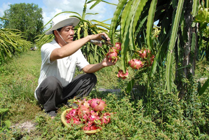 Nông sản khởi động lại thị trường Trung Quốc - Ảnh 1. Nông sản khởi động lại thị trường Trung Quốc - Ảnh 1.