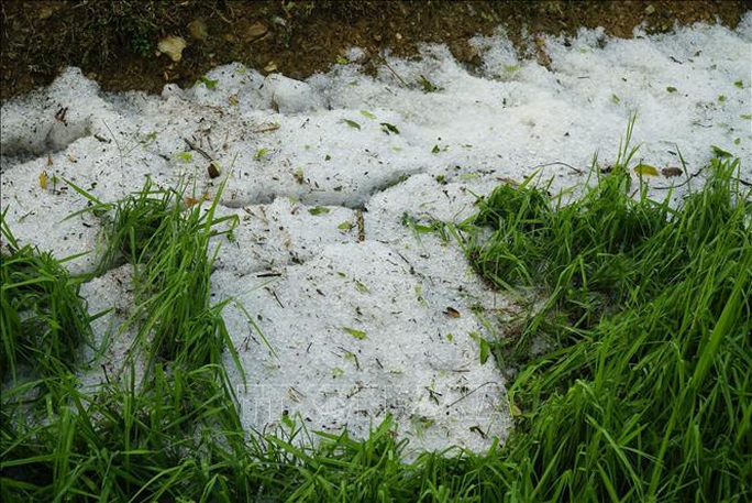 Mưa đá rơi trắng như tuyết tại Điện Biên - Ảnh 4.