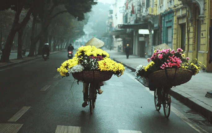 Gánh văn hóa cho giới trẻ - Ảnh 1. Gánh văn hóa cho giới trẻ - Ảnh 1.