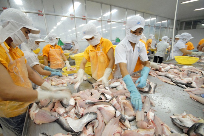 Doanh nghiệp thủy sản nỗ lực giữ việc làm cho công nhân - Ảnh 1. Doanh nghiệp thủy sản nỗ lực giữ việc làm cho công nhân - Ảnh 1.