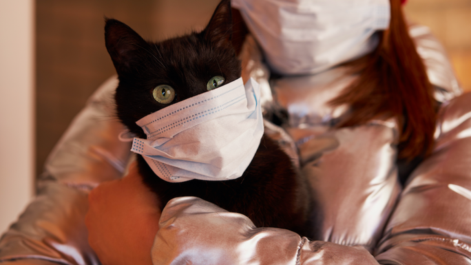 Mèo nhiễm virus SARS-CoV-2, chó được thử nghiệm để phát hiện người nhiễm bệnh - Ảnh 1.