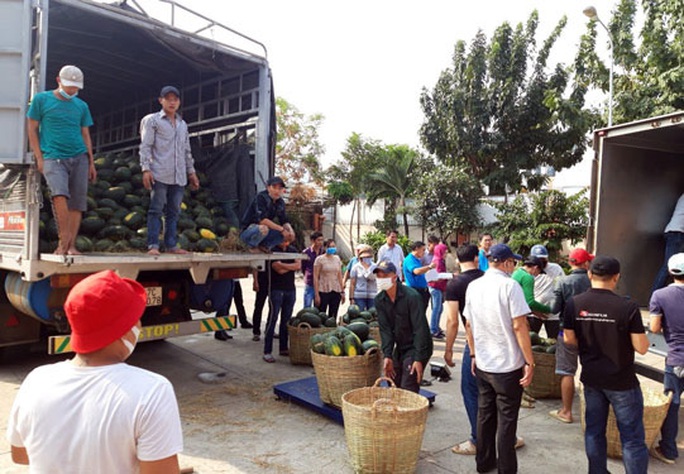 Hỗ trợ tiêu thụ 8,7 tấn dưa hấu cho nông dân tỉnh Đắk Lắk - Ảnh 1.
