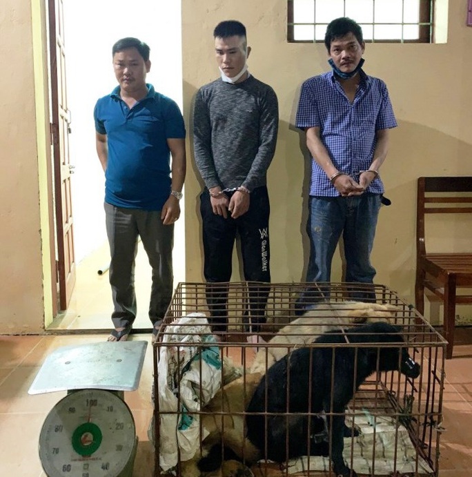 Bắt băng nhóm chuyên trộm chó tung hoành khu vực bắc Quảng Bình - Ảnh 1.