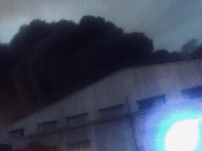 Cháy lớn ở công ty cơ khí trong KCX Tân Thuận - Ảnh 1.