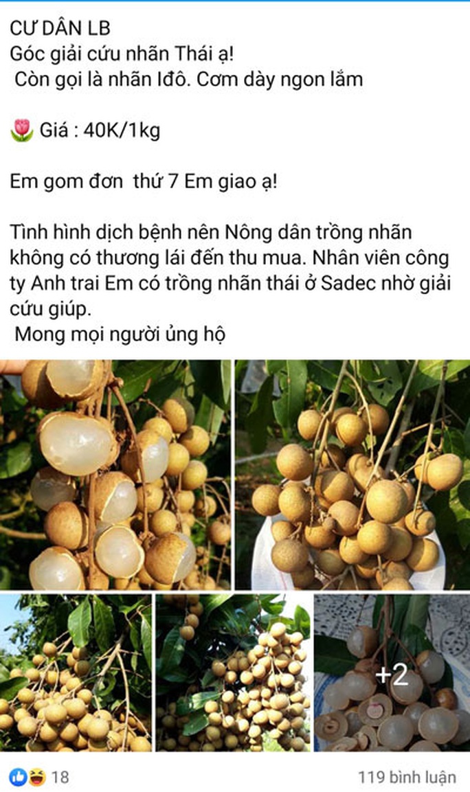 Chợ online ở chung cư lên ngôi - Ảnh 1. Chợ online ở chung cư lên ngôi - Ảnh 1.