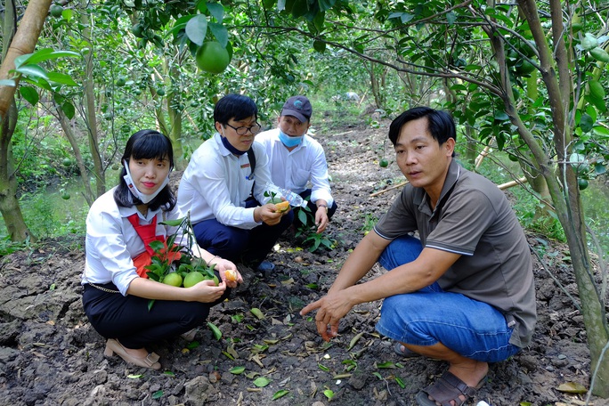 Gặp 2 nông dân “hốt bạc” từ cây cam sạch giữa dịch Covid-19 - Ảnh 2.