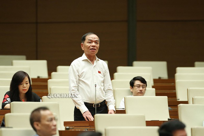 ĐB Lê Thanh Vân nói về tính chuyên nghiệp của đại biểu Quốc hội - Ảnh 1.