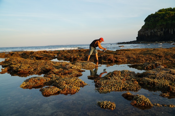 Ngắm tuyệt tác san hô cực đẹp ở Gành Yến – Quảng Ngãi - Ảnh 4.