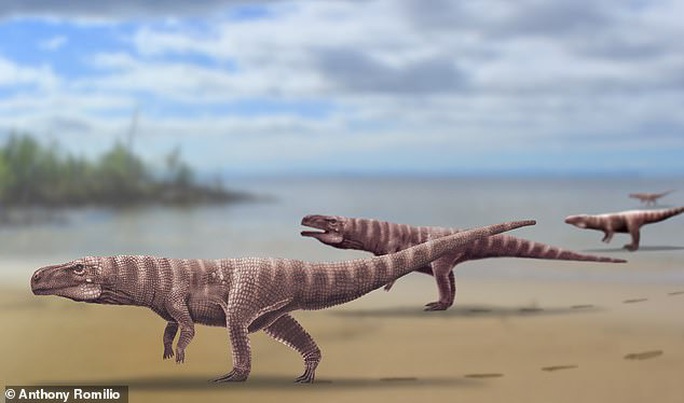Quái vật cá sấu lai khủng long bạo chúa, dấu chân như người ở Hàn Quốc - Ảnh 1.