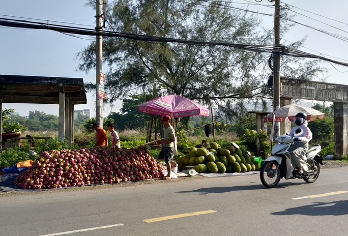 Còn 15.000 đồng/2kg, thanh long lại đổ đống, bán đầy đường TP HCM - Ảnh 2.